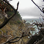 Pt-Lobos-Topside052_edited-