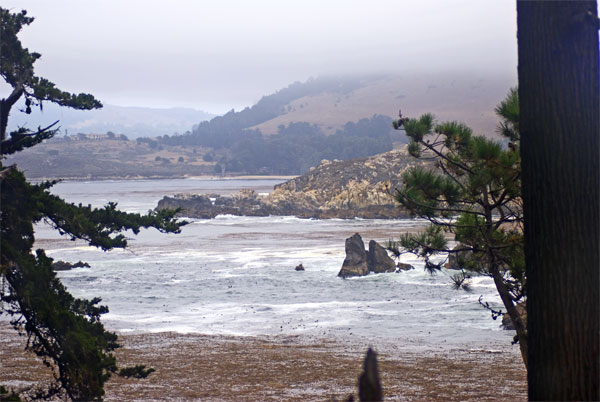 Pt-Lobos-Topside059_edited-