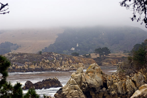 Pt-Lobos-Topside068_edited-