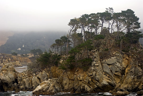 Pt-Lobos-Topside101_edited-