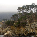 Pt-Lobos-Topside101_edited-