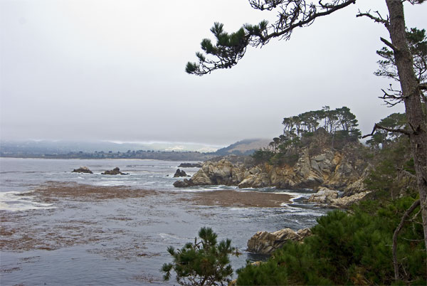 Pt-Lobos-Topside114_edited-