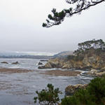 Pt-Lobos-Topside114_edited-