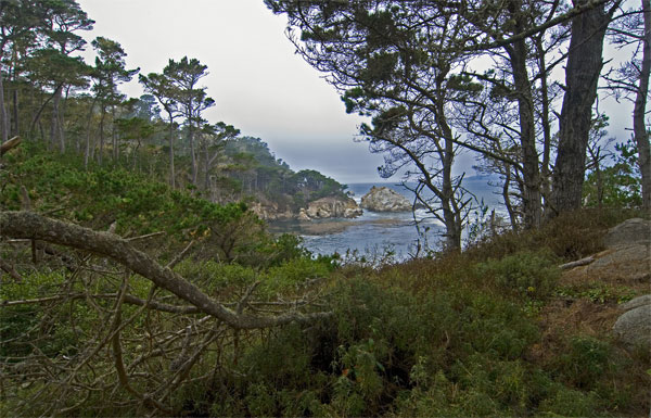 Pt-Lobos-Topside117_edited-