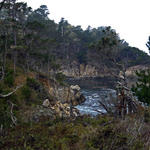 Pt-Lobos-Topside119_edited-