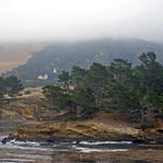 Pt-Lobos-Topside123_edited-