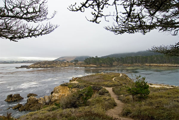 Pt-Lobos-Topside142_edited-