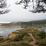 Pt-Lobos-Topside142_edited-