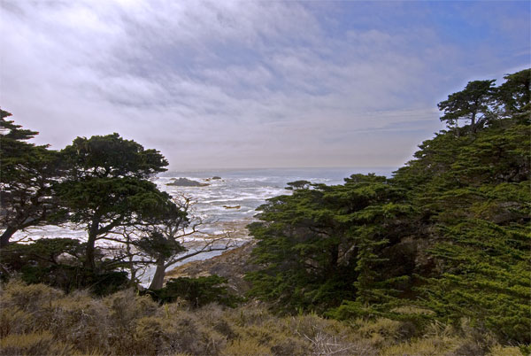 Pt-Lobos-Topside169_edited-