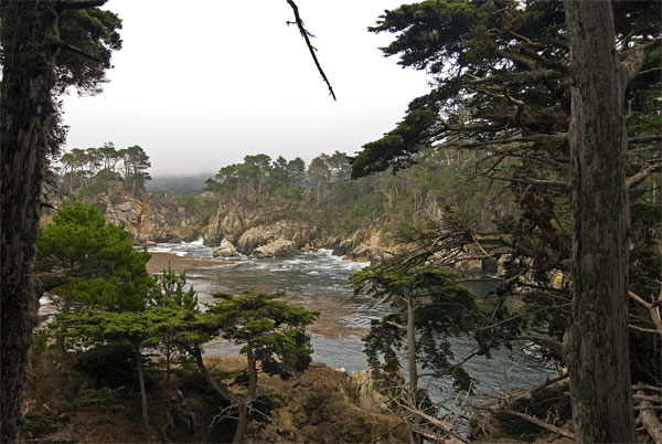 Pt-Lobos-Topside220_edited-