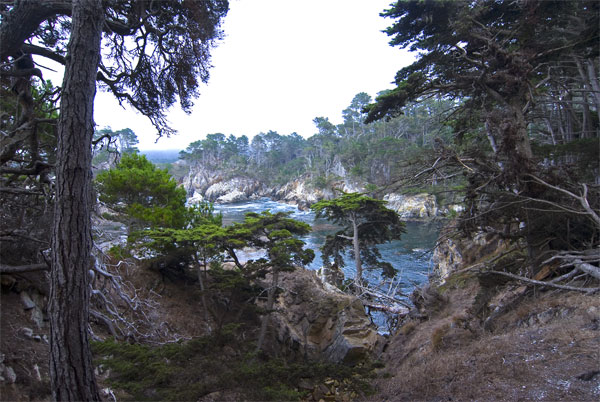 Pt-Lobos-Topside228_edited-