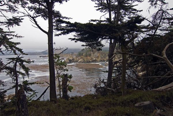 Pt-Lobos-Topside230_edited-