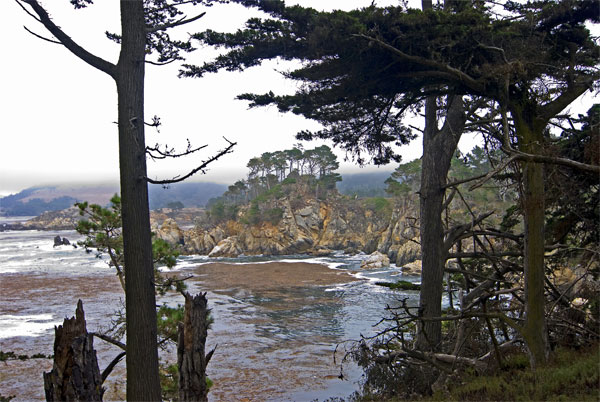 Pt-Lobos-Topside232_edited-