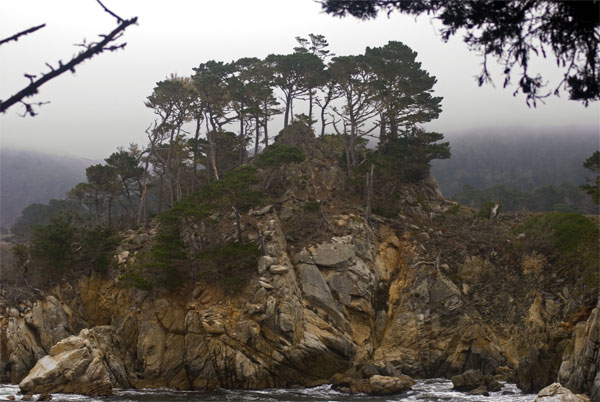 Pt-Lobos-Topside233_edited-