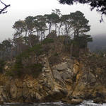 Pt-Lobos-Topside233_edited-