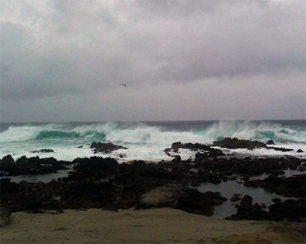 Waves-at-Great-Tidepool