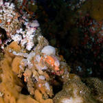 Monterey-Carmel_08-26-11_20