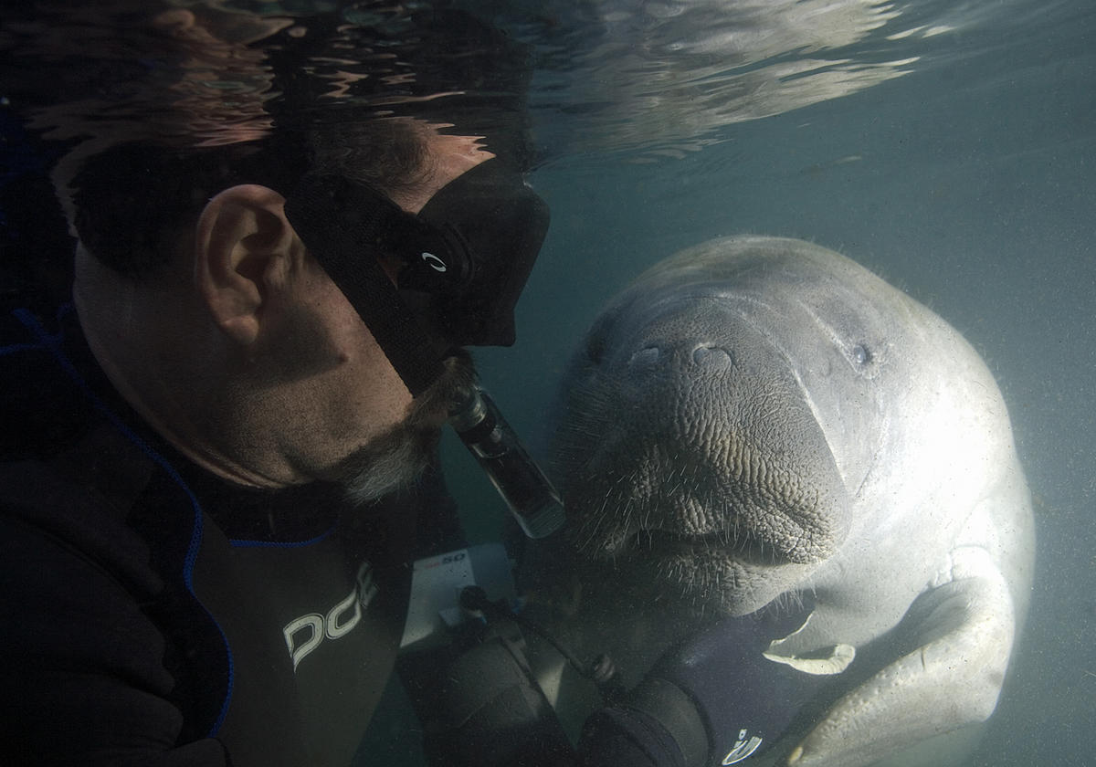 Craig and manatee