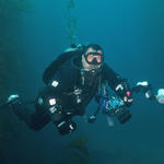 Craig diving in kelp