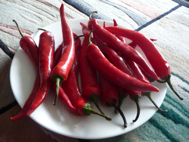 peppers cayenne 001