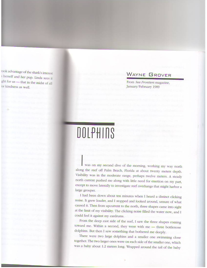 Dolphins10001