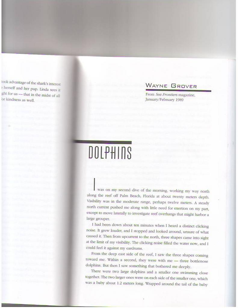 Dolphins10001