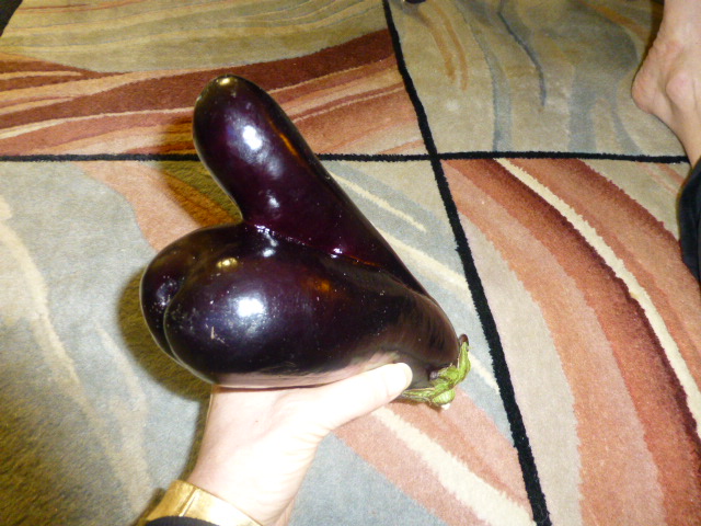 eggplant2 005