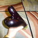 eggplant2 005