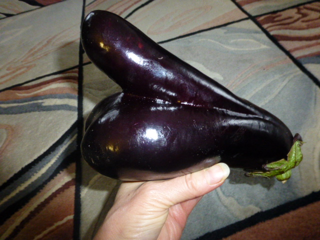 eggplant 009