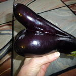 eggplant 009