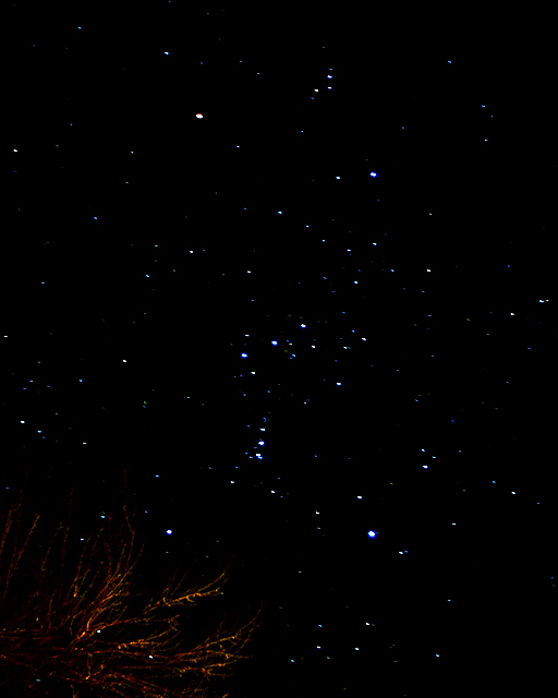 Orion w/Fuji S2