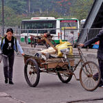 Labouring couple, China