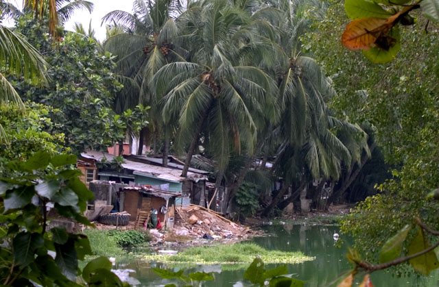 Backwaters of Colombo