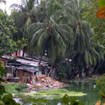 Backwaters of Colombo