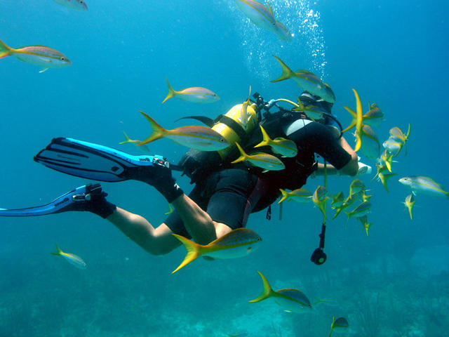 Diver with fish
