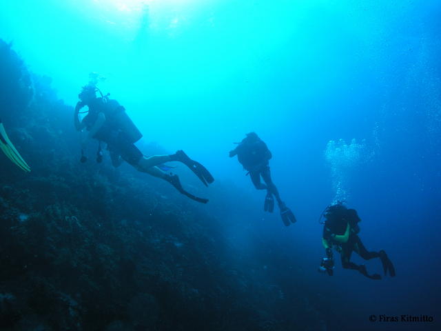 Diver over reef