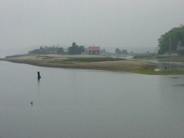 Misty morning on 'the Sound'