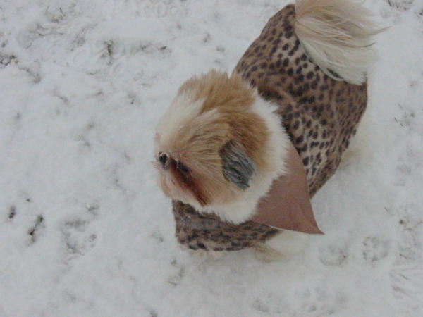 Duncan experiences Utah winter wind