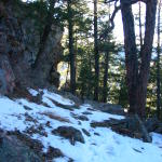 "Way off the path" (near Mt Falcon)