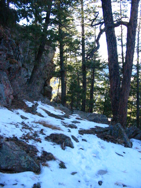 "Way off the path" (near Mt Falcon)