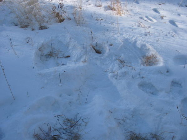 Isaac's snow angel