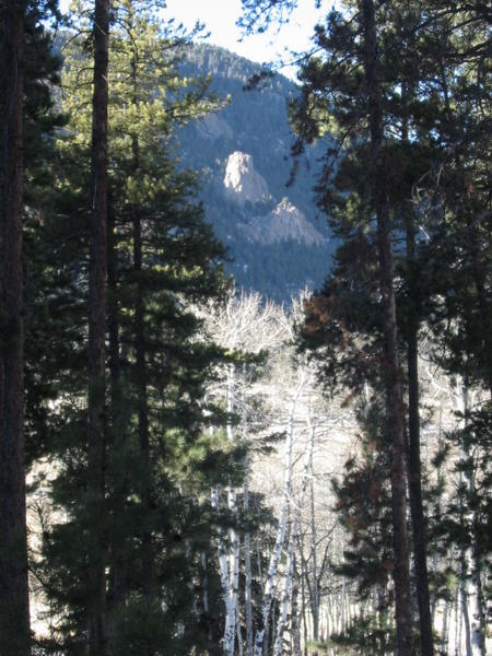 Another peek through the trees