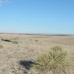A look across the National Grasslands where Clarke and JT did some hunting (email me for details about the prairy dogs :)