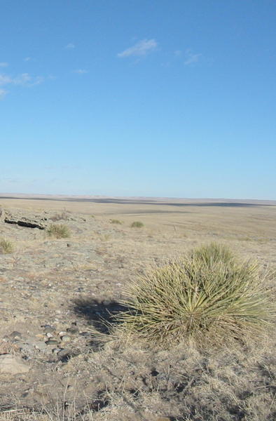 A look across the National Grasslands where Clarke and JT did some hunting (email me for details about the prairy dogs :)