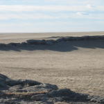 A lonely spot on the high plains (still in the National Grasslands of northeast Colorado)