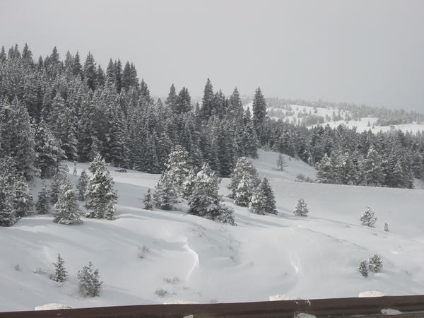 Winter Splendor (near Vail pass westbound on our way home)