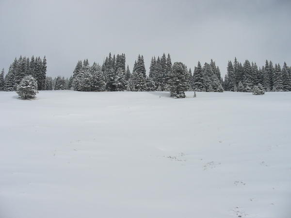 Looking north from I-70 near Vail