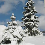 A view from a car wash in Vail (really)