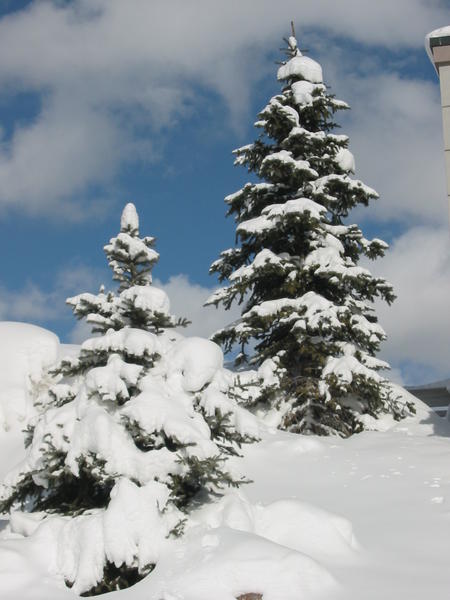 A view from a car wash in Vail (really)