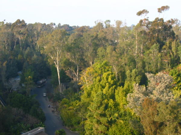 View from sky lift